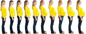 Physical changes of pregnancy