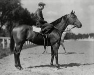 Seabiscuit