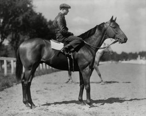 Seabiscuit